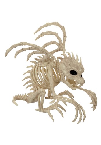 Gargoyle skeleton - gargoyle,